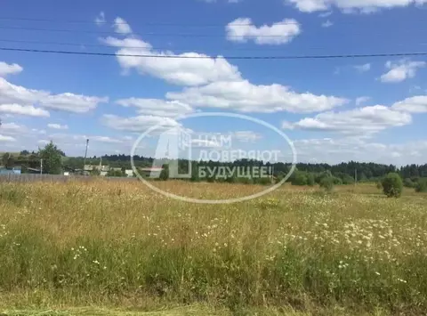 Участок в Пермский край, Чернушинский городской округ, с. Ананьино ул. ...