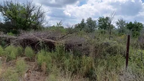 Участок в Астраханская область, Камызяк Южное СНТ, 322 (6.05 сот.)