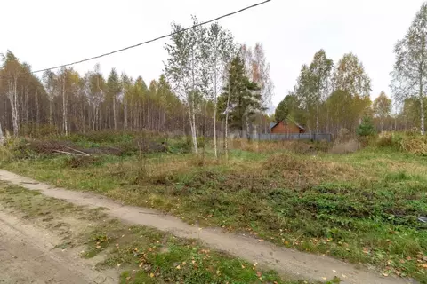 Участок в Тюменская область, Нижнетавдинский муниципальный округ, ...