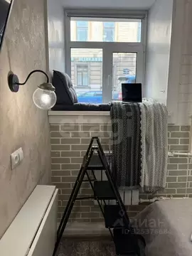 Студия Санкт-Петербург Кронверкская ул., 4 (16.0 м)