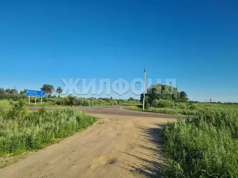 Участок в Амурская область, Благовещенский район, пос. Заречный ул. ...