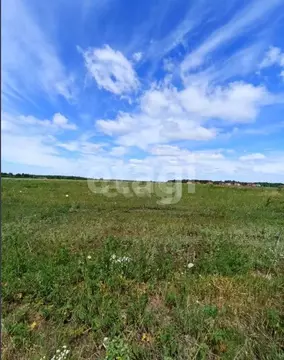 Участок в Липецкая область, Липецкий муниципальный округ, с. Сенцово  ...