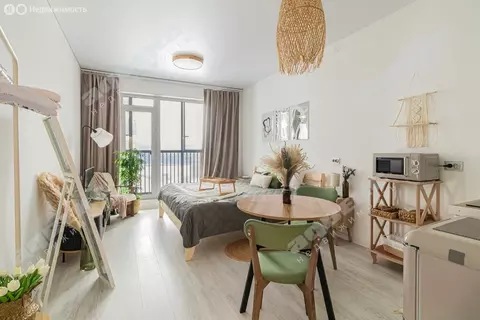 Квартира-студия: Санкт-Петербург, 1-й Предпортовый проезд, 1 (24.5 м)