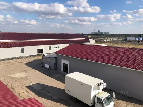 Производственное помещение в Волгоградская область, Палласовка ул. ...