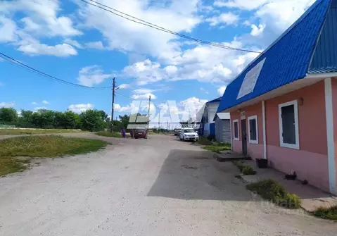 Помещение свободного назначения в Челябинская область, Аргаяшский ...