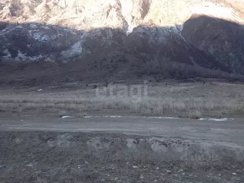 Участок в Алтай, Улаганский район, с. Коо  (301.7 сот.)