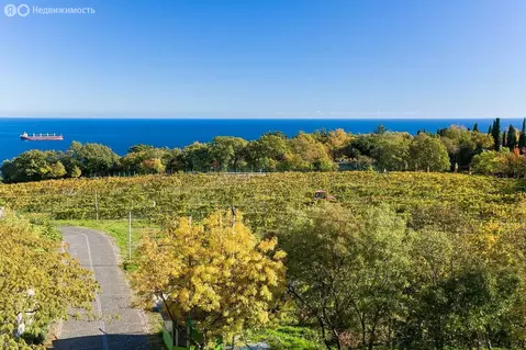 1-комнатная квартира: Ливадия, Виноградная улица, 19А (66 м)