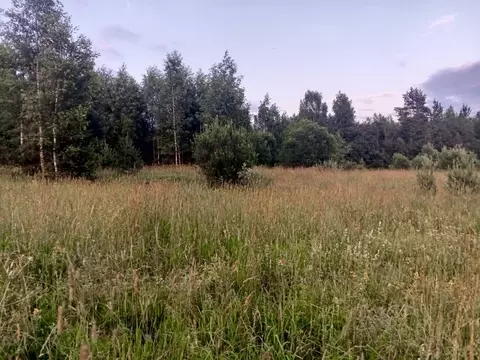 Участок в Новгородская область, Окуловский район, Турбинное с/пос, д. ...