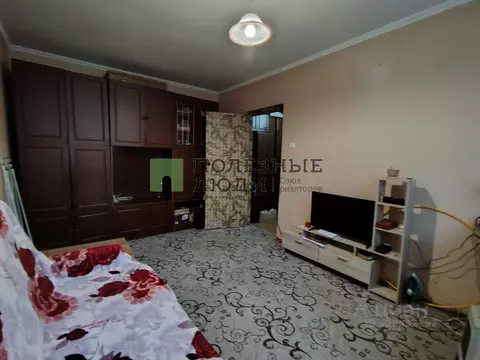 1-к кв. Санкт-Петербург ул. Димитрова, 10К1 (29.0 м)