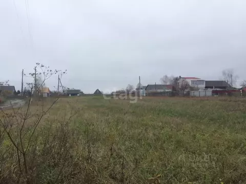 Участок в Брянская область, Выгоничский район, Кокинское с/пос, д. ...