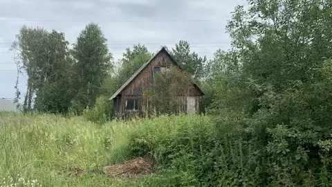 Участок в Свердловская область, Екатеринбург Авиатор-5 КС,  (6.4 сот.)