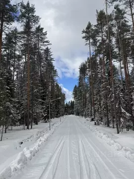 Участок в Ленинградская область, Всеволожский район, Бугровское ...