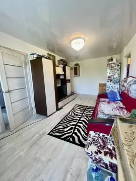 3-к кв. Нижегородская область, Нижний Новгород Гороховецкая ул., 48 ...