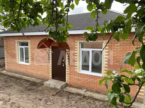 Дом в Омская область, Омск СНТ Сибзаводовец ТСН, 489 (83 м)