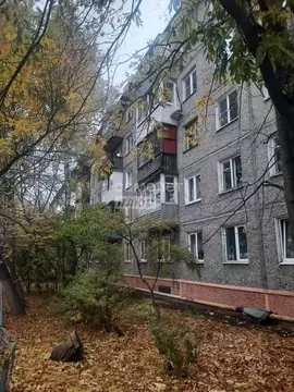 2-к кв. Нижегородская область, Нижний Новгород Снежная ул., 27 (44.0 ...