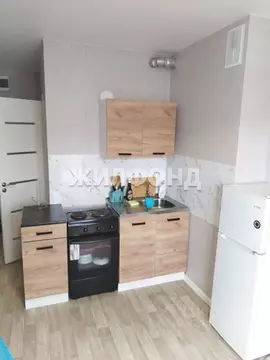 Студия Новосибирская область, Новосибирский район, Станционный ...