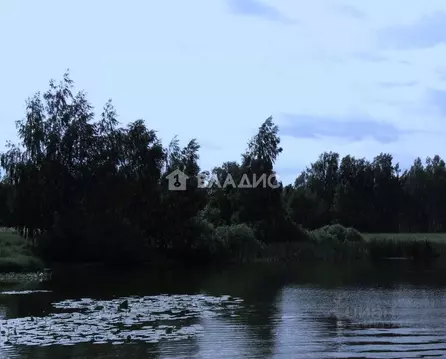 Участок в Нижегородская область, Сосновский муниципальный округ, д. ...