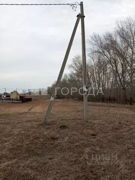 Участок в Алтайский край, Барнаул городской округ, пос. Центральный ...