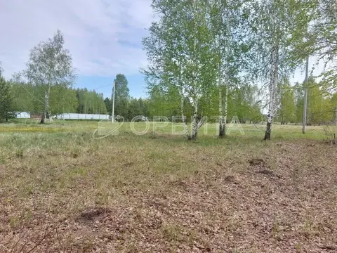 Участок в Тюменская область, Нижнетавдинский муниципальный округ, ...