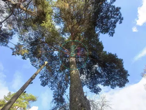 Дом в Домодедово, микрорайон Центральный, Станционная улица, 4 (78 м)