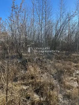 Участок в Тюменская область, Нижнетавдинский муниципальный округ, с. ...