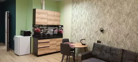 Студия Новосибирская область, Новосибирск ул. Фрунзе, 220 (34.0 м)