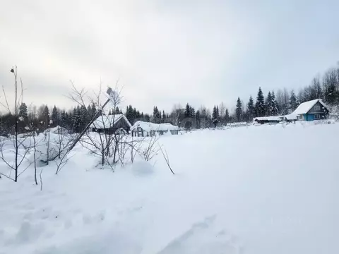 Участок в Коми, Сыктывдинский район, Выльгорт муниципальное ...