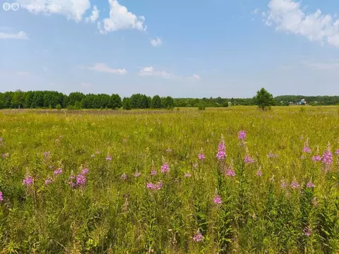 Участок в Московская область, Раменский муниципальный округ, ...