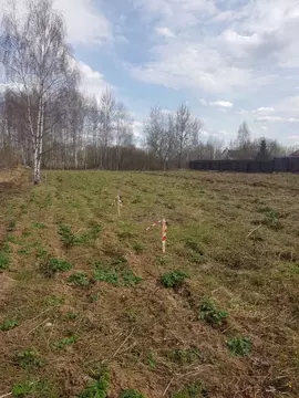 Участок в Московская область, Истра муниципальный округ, с. Дарна ул. ...