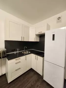 Студия Санкт-Петербург просп. Ветеранов, 185к3 (23.7 м)