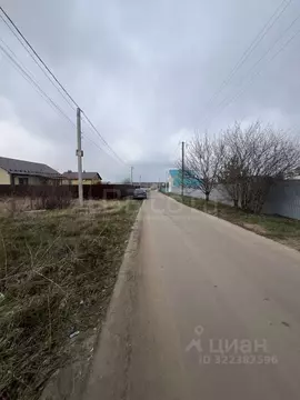 Участок в Воронежская область, Рамонский район, с. Новоживотинное ...