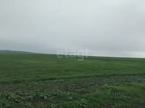 Участок в Крым, Ленинский район, Семисотское с/пос, с. Каменское ул. ...