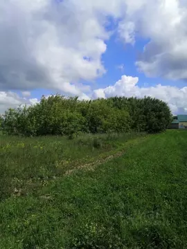 Дом в Рязанская область, Шиловский район, Тимошкинское с/пос, с. ...