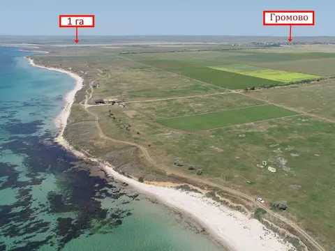 Участок в Крым, Черноморский район, Окуневское с/пос  (100.0 сот.)