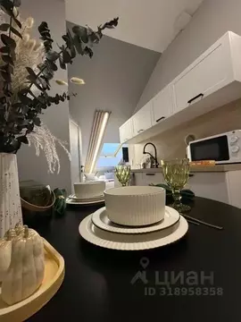 1-к кв. Татарстан, Казань Лево-Булачная ул., 24/20 (22.0 м)