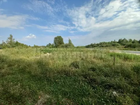 Участок в Смоленская область, Смоленский муниципальный округ, Дружба ...