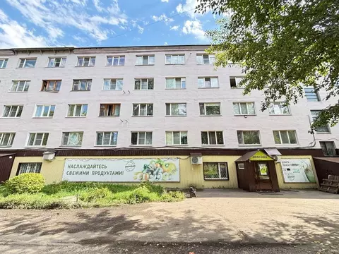 Помещение свободного назначения в Пензенская область, Пенза Ударная ...