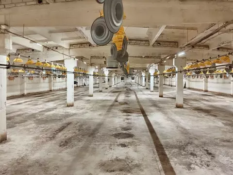 Склад в Ленинградская область, Ломоносовский район, Русско-Высоцкое ...