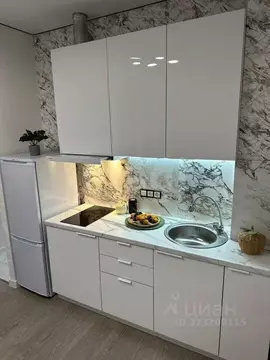 Студия Ростовская область, Ростов-на-Дону просп. Ленина, 46/2 (25.0 м)