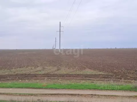 Участок в Крым, Сакский район, с. Молочное  (425.08 сот.)