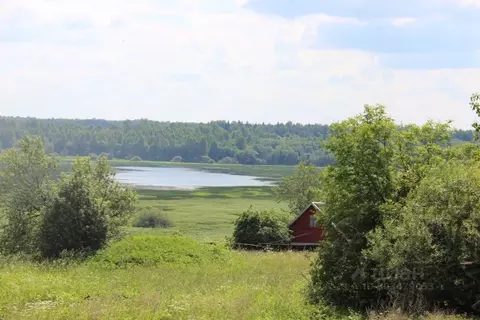 Участок в Тверская область, Западнодвинский район, д. Селище  (3600.0 ...
