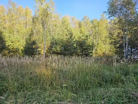 Участок в Московская область, Ступино городской округ, Олимп кп  (8.75 ...