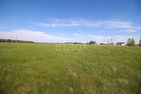 Участок в Алтайский край, Первомайский район, с. Фирсово, Полесье мкр  ...