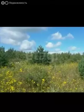 Участок в Амурская область, Благовещенский муниципальный округ, СТ Луч ...