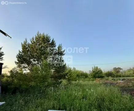 Участок в Бердск, садоводческое некоммерческое товарищество Луч, 17 (6 ...