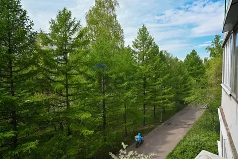 3-к кв. Татарстан, Казань ул. Адоратского, 42 (66.0 м)