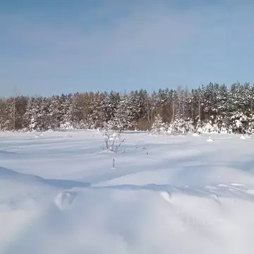 Участок в Московская область, Егорьевск муниципальный округ, с. ...