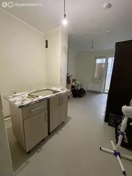 Квартира-студия: Краснодар, Адмиралтейский бульвар, 3к2 (20.8 м)