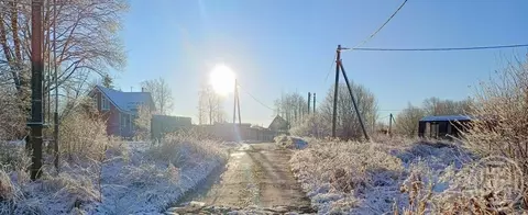 Участок в Ленинградская область, Выборгский район, Рощинское городское ...