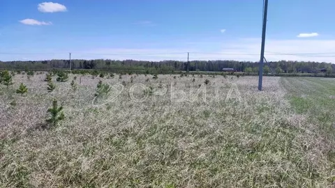 Участок в Тюменская область, Тюменский район, с. Кулига, Кулига-2 мкр  ...